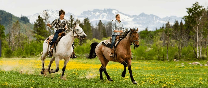 Confident plus-size woman riding Burgess Hill a horse through a field with a smile on her face.